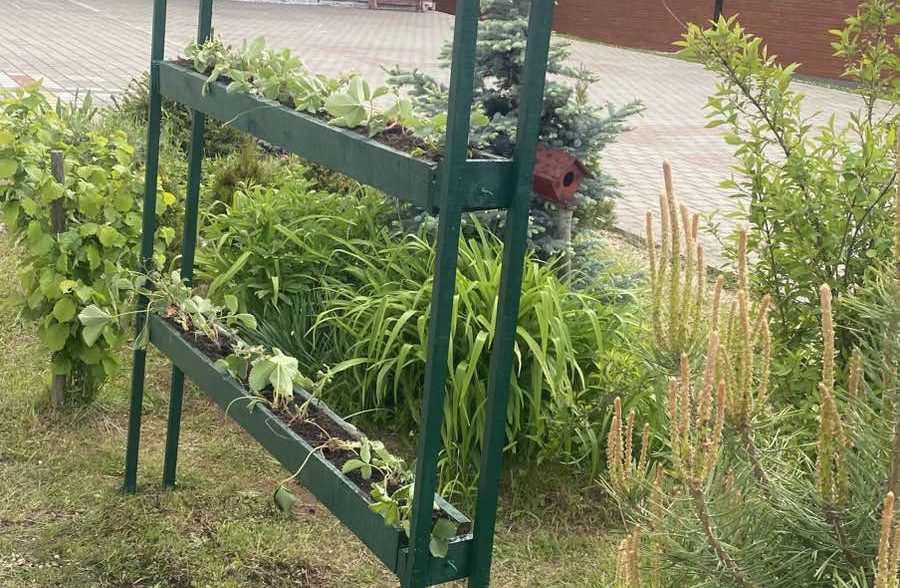 Ученици еколошке секције уредили школски врт